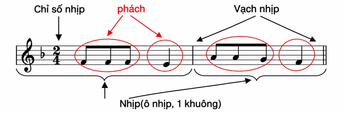 Nhip va phach trong am nhac nhịp và phách Nhịp và phách trong âm nhạc