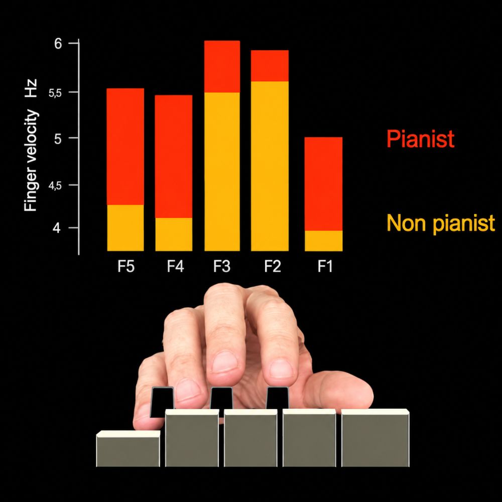 Tan so khac biet giua nghe si ppiano va nguoi choi piano thong thuong o Ky thuat trill piano kỹ thuật trill piano Tần số khác biệt giữa nghệ sĩ ppiano và người chơi piano thông thường ở Kỹ thuật trill piano