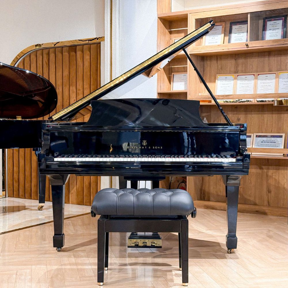 Thiết kế của đàn piano Steinway & Sons M170