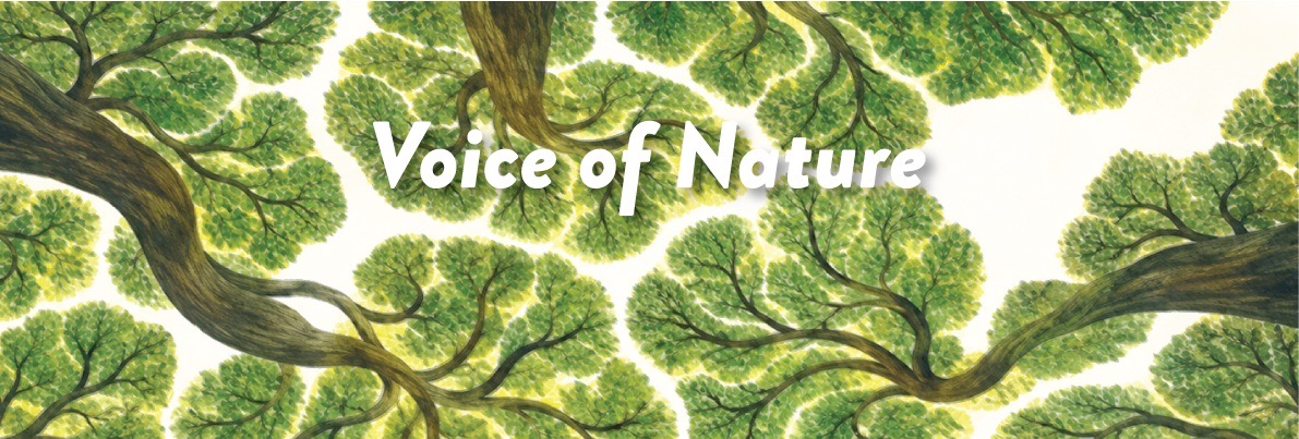 voice of nature voucher Voucher Voice of nature